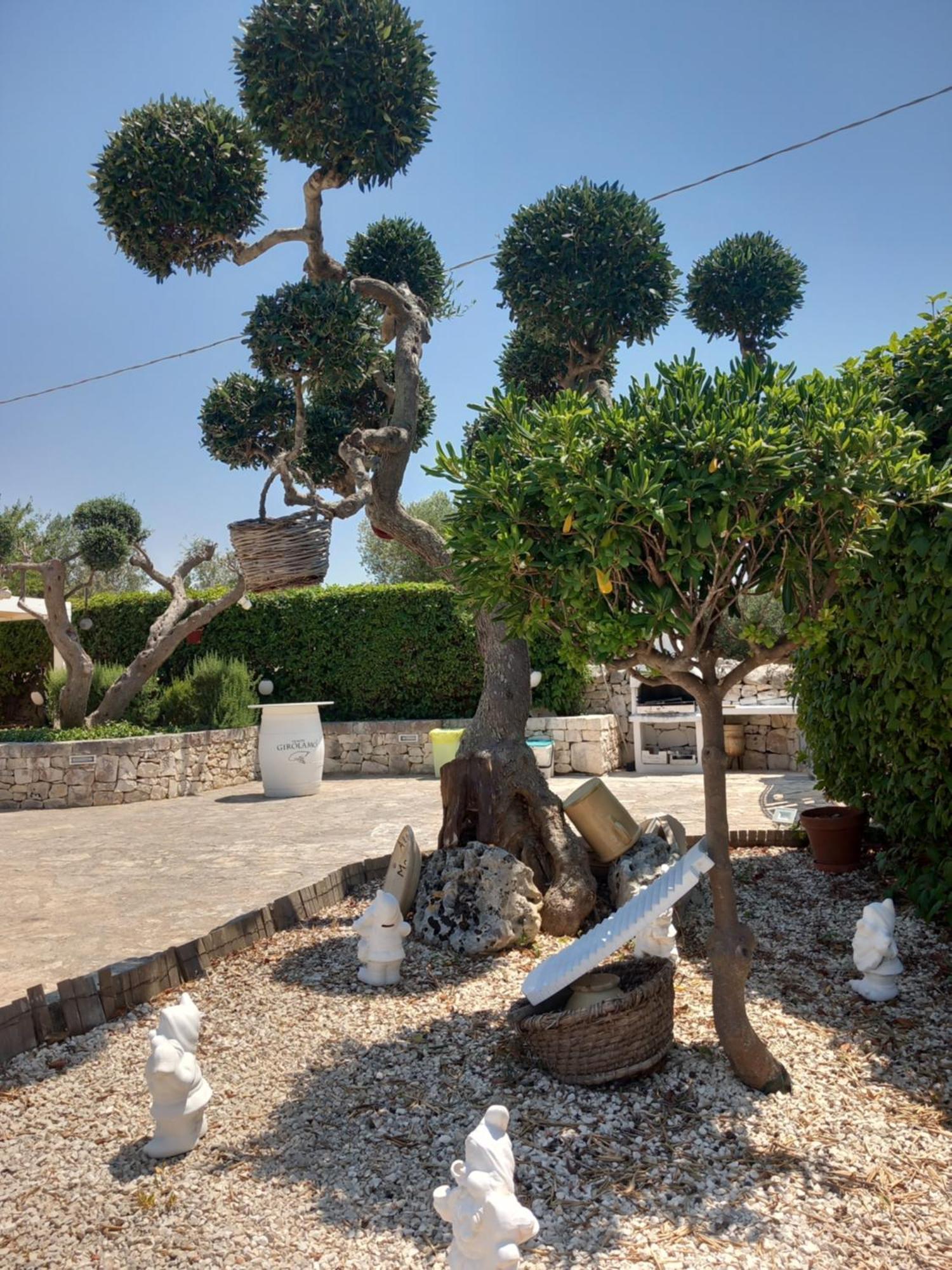 Trullo Monte Del Sale Guest House Alberobello Bagian luar foto