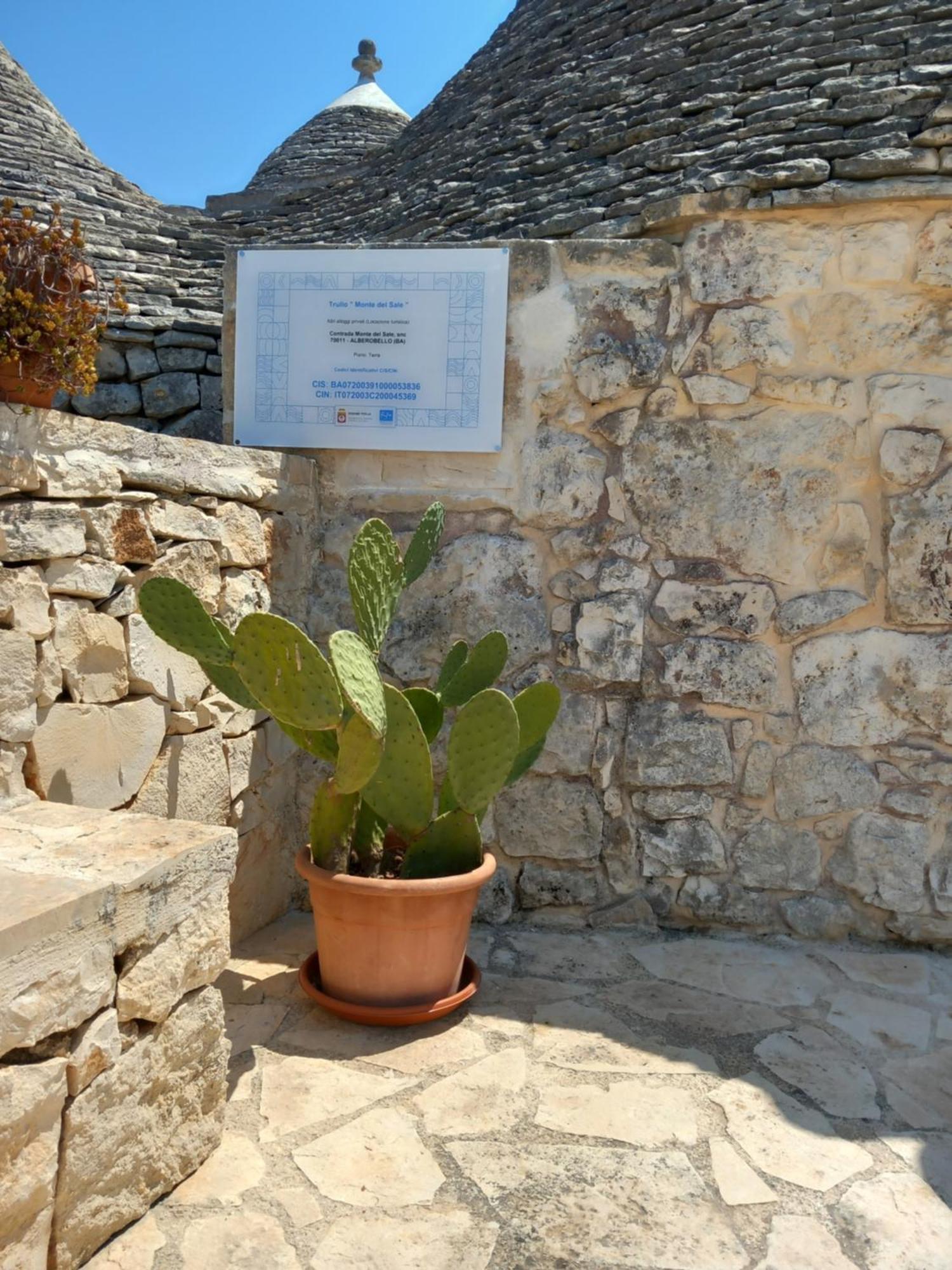 Trullo Monte Del Sale Guest House Alberobello Bagian luar foto
