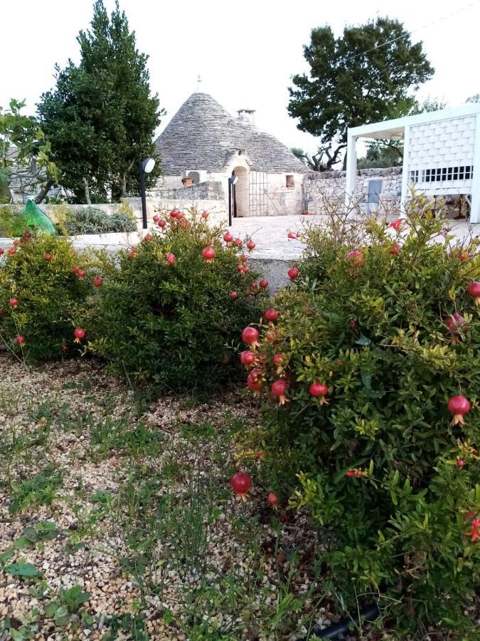 Trullo Monte Del Sale Guest House Alberobello Bagian luar foto